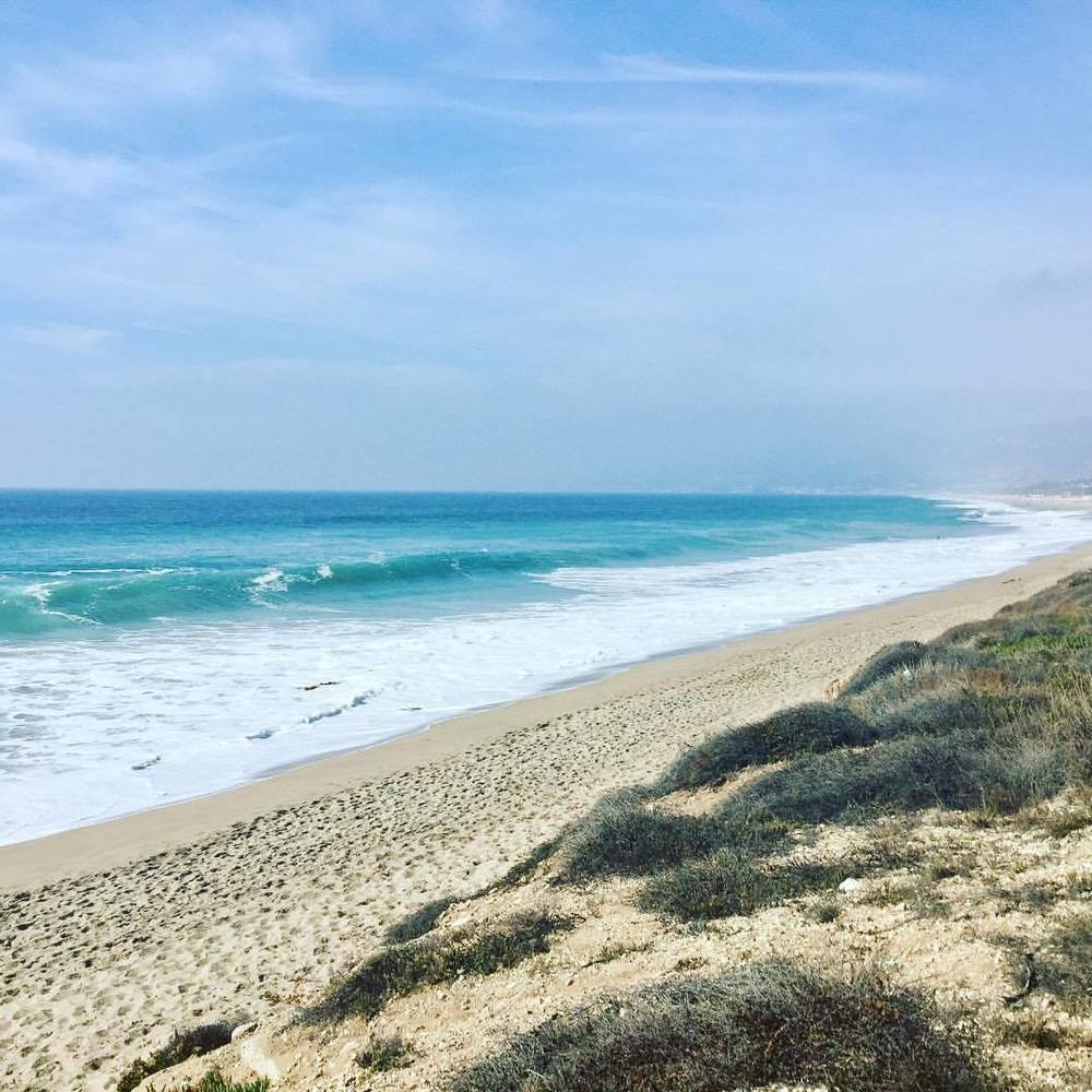 Meet your Posher, Toni